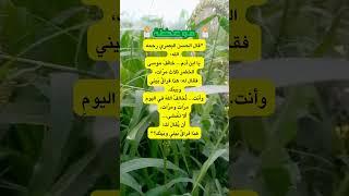 ️ موعظة الحسن البصري التي أبكت القلوب! ️#الحسن_البصري #موعظة_مؤثرة