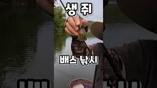 배스의 생쥐 먹방. 생쥐 루어를 이용한 배스낚시 2