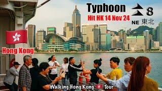 Typhoon no 8 hit Hong Kong  ll Walking Hong Kong  Tour