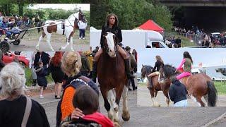 Fun Giant Horse Appleby Horse Fair Women and Horses on Carriage Cart