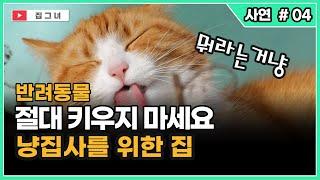 고양이 절대 키우지 마세요 | 냥집사를 위한 집 [사연]