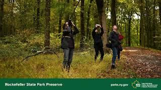 Visit Rockefeller State Park Preserve