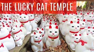 Thousands of Lucky Cats Await You at Tokyo's Gotokuji Temple!