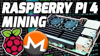 Monero Mining on Raspberry Pi 4 | 24h XMR Mining Results