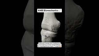 Knee Bio-Mechanics #anatomy #medspiration