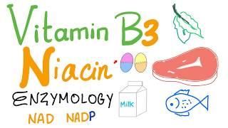 Vitamin B3 (Niacin) Enzymology [NAD and NADP]