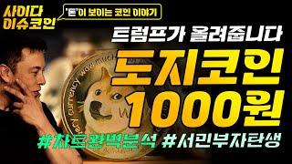 도지코인 전망 트럼프가 당선되어 11월달 1000원까지 갑니다