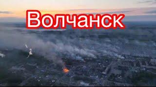 Волчонок 18.05.2024 года