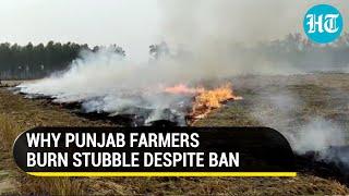 As Delhi pollution rises, Punjab farmers explain why they're still burning crop stubble