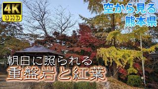 [Kumamoto] Autumn leaves of Maizuru Castle Park (Vol.295) / Beautiful trees in the morning sun