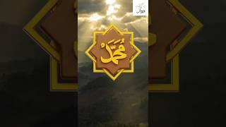 MUHAMMAD (PBUH) ️ | SUBHAN ALLAH ️ | MUSTAFA (PBUH) ️