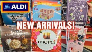 ALDI NEW ARRIVALS for NOVEMBER 2024! HOLIDAY ITEMS & TREATS! LIMITED SUPPLY!️(11/21)