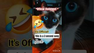 *OFFICIAL STATEMENT* 3 Second Song VERIFIED!  #cat #kitten #meow #siamese #dailyshorts #shorts