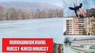 Baselland: Rundwanderung Kraftwerk Augst - Liebrüti - Augusta Raurica