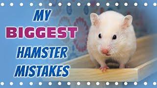 My Biggest Hamster Mistakes 