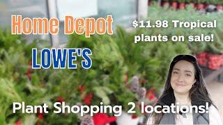 Big Box Plant Shop with me! | Lowe's and Home Depot Tropical Plant Sales! | November 2022