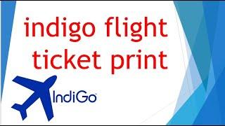 how to take print out of indigo flight ticket