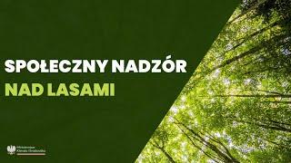 Ustawa o planach urządzania lasów – zwracamy kontrolę obywatelkom i obywatelom