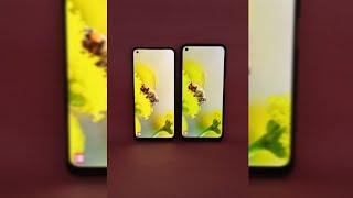 LCD Vs AMOLED Display Video Quality #Shorts