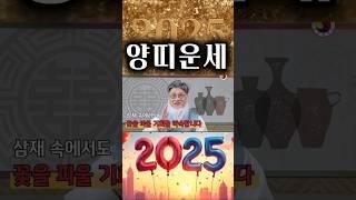 2025년 양띠 운세: 삼재도 문제 없고, 전화위복의 기회를 얻어 재물운과 천복이 행운을 부르게 됩니다  #2025년대박나는띠