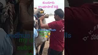 # most powerful driver# kundur rambhupal Reddy# YouTube trending video #YouTube update video