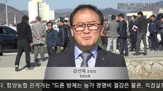 함양농협, 양파 병해충 드론방제 시연