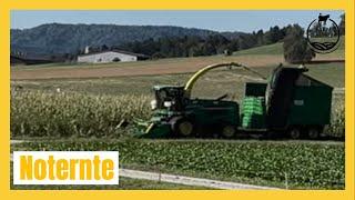 Noternte | Mais | Farmfluencer