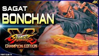 Bonchan (Sagat) is back  Street Fighter V Champion Edition • SFV CE [4K]