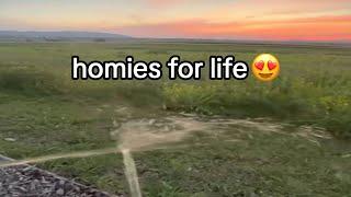 offensive memes but if ylyl