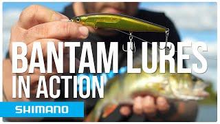 Irresistible freshwater fishing lures for Pike, Perch and Zander! | SHIMANO BANTAM