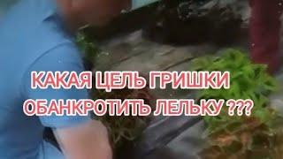 Деревенский дневник очень многодетной мамы. Обзор.
