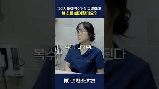 우리 강아지 배가 빵빵해요! 복수 빼줘야하나요?  #강아지 #24시동물병원 #고려동물메디컬센터 #반려견 #반려동물 #동물병원