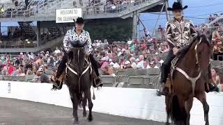 Tennessee Walking Horse World Celebration 2022