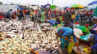 Tons of fish, huge fish distribution site, Cambodian fish market early morning scenes