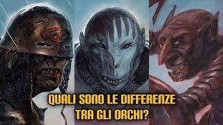 Quali sono le differenze tra gli Orchi?