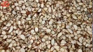 Raw Almonds Slice Cutter Machine - How does an almond slicer work