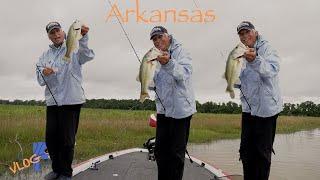 Bass fishing Arkansas