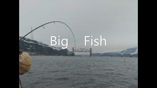 Columbia River Sturgeon Fishing January, 2022. Fishing the Celilo Falls Hole. Cold weather fishing.