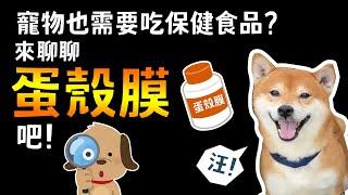 寵物保健食品如何選?｜蛋殼膜攝取營養好容易【輝輝異言堂】