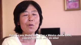 Documental: Shoko Abe