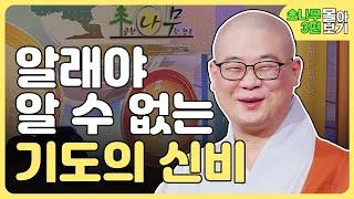 알래야 알 수 없는 기도의 신비 [광우스님 소나무 3편 몰아보기]