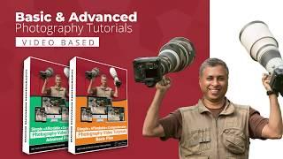 Online Photography Tutorials : Beginners To Advanced