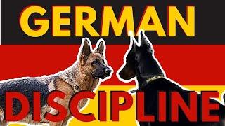 3 ways to correct unsocial behavior with a dominant reactive German Shepherd