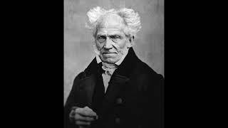Arthur Schopenhauer - Armando Pellumbi
