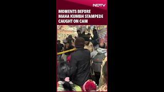 Maha Kumbh Stampede Latest | Moments That Led To Chaos Caught On Cam | Mauni Amavasya