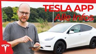 So geht Auto-Handy-App! Die Tesla-App erklärt (Tesla für Einsteiger)