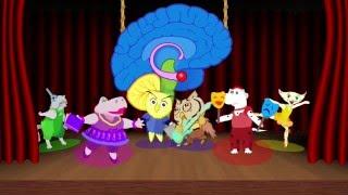 Brain Play - Meet The Parts Of The Brain!