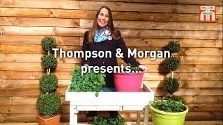 Thompson & Morgan present their Garden Ready Young Plants