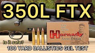 350 Legend Hornady Custom 165gr FTX Ballistics Gel Ammo Test