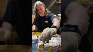Staining A Private Stock In Electric Tiger Glow | PRS Guitars | #shorts